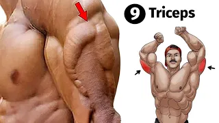 9 Best exercises for wider triceps at gym - triceps workout