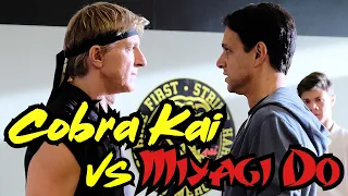 Which Karate Kid Style Is Better? • Cobra Kai vs Miyagi Do