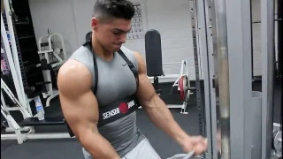 2016 - Raw Biceps Workout Andrei Deiu'