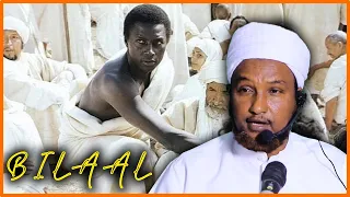 QISOOYIN CAJIIBA ~ Maalintii Bilal Ibn Rabah Uu Dhimanaayay , Hadalkii Cajiibka Ahaa Ee uu idhi ‼