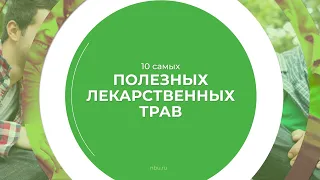 Дистанционный курс обучения «Фитотерапия (Травничество)» - 10 самых полезных лекарственных трав