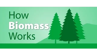 How Biomass works