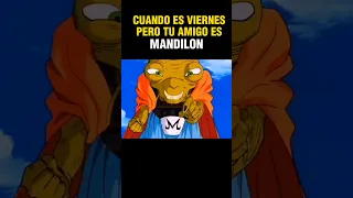 TU AMIGO EL MANDILON