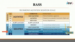 Richmond Agitation-Sedation Scale (RASS)