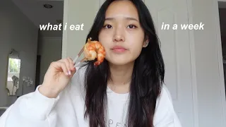 what i eat in a university week (korean food & realistic)