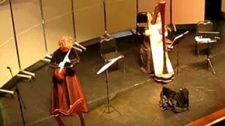 Дуэт арфы и флейты