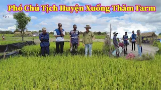 Linh Philip ||Phó Chủ Tịch Huyện Ngạc Nhiên Trước Sự Phát Triển Của Cây Lúa Của Việt Nam Tại Angola