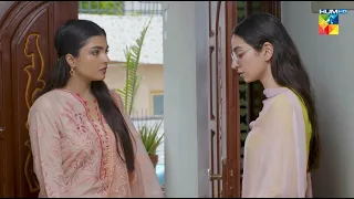 Har Muhabbat Ka Anjaam Shadi Nahi Hota..!! #mamia #bilalqureshi - Meesni - HUM TV