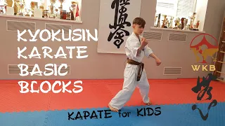 Базовые блоки в киокушин карате. Kyokushin karate basic blocks