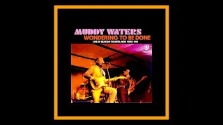 Muddy Waters, James Cotton and Johnny Winter - Wondering To Be Done 1981  (Complete Bootleg)