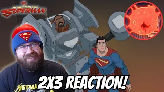 My Adventures With Superman 2x3 "Fullmetal Scientist" REACTION!!!