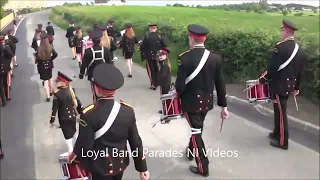 Mavemacullen Accordion Band (Full Season) 2022