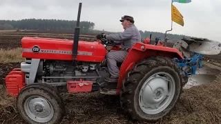 1968 Massey Ferguson 135 2.5 Litre 3-Cyl Diesel Tractor (46HP)