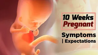 10 Weeks Pregnant Baby Position | Pregnancy Week By Week Symptoms