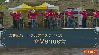 「Venus」Country Line Dance   カントリーダンス