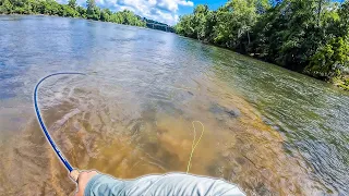 I Hooked a River Beast! | Fly Fishing for Bass