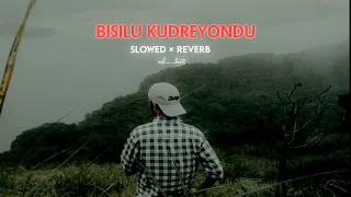 Bisilu Kudureyondu [ slowed x reverb] | googly songs | Bisilu Kudureyondu lofi version #kannadalofi