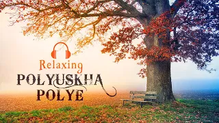 90 dk ~ Relaxing, Uyku ve Kitap Okuma Müziği ~ Polyushka Polye