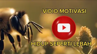 HIDUP SEPERTI LEBAH | VIDEO MOTIVASI