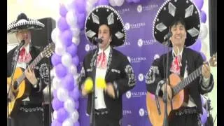 Мексиканское Шоу    Mariachi Serenada   8926-924-94-72 (Анибал)