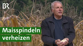 Mais dreschen: Reste der Maisernte als Brennstoff nutzen | Innovation Maisanbau | Unser Land | BR