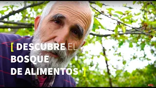 Evolución BOSQUE COMESTIBLE 🌳 por Santi Soto