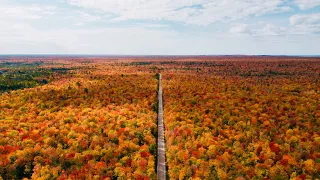 Fall Foliage at Upper Peninsula of Michigan 2022