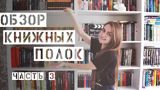 ТУР ПО КНИЖНЫМ ПОЛКАМ. ЧАСТЬ 3// Полки с классикой и нон-фикшн