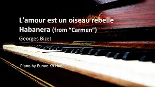 "L'amour est un oiseau rebelle" (Habanera) from Carmen – Georges Bizet (Piano Accompaniment)