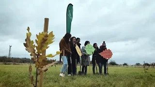 DMU students plant trees at the National Forest