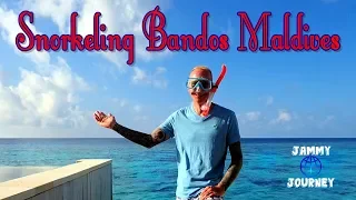 Snorkeling Bandos Maldives