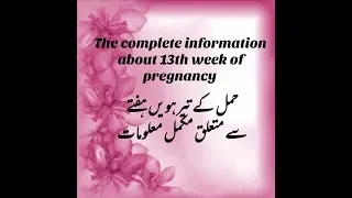 The complete information about 13th week of pregnancy ||development n growth