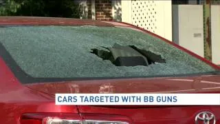 Cars and homes targeted with bb guns