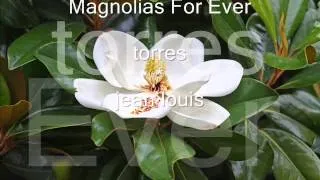 Magnolias For Ever " torres jean louis "