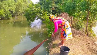 Cast Net Fishing||Amazing River Net Fishing By Village Woman.(Part:240)