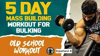 5 Day Mass Building Workout For Bulking | Old  School Workout | Biglee Tamil