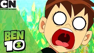 Ben 10 | Learning How to Drive | Cartoon Network