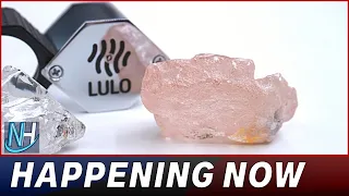 Largest pink diamond in 300 years discovered in Angola