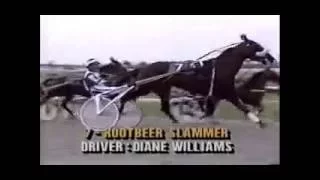 1989 Scioto Downs ROOTBEER SLAMMER Diane Williams