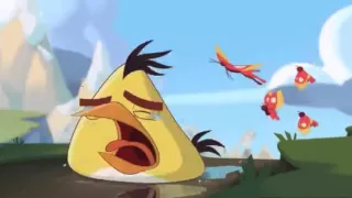 Angry birds toons Season 3 episode 18 'Eggs Haustion'