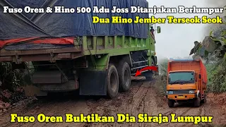 Melihat Dua Hino Jember Terseok Seok Dengan Ganas Nya Fuso Oren Libas & Buktikan Dia Siraja Lumpur