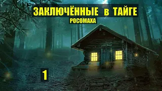 КСЮША-2  ЗАКЛЮЧЁННЫЕ в ТАЙГЕ продолжение КНИГА-2 ДОМ в ЛЕСУ ИСТОРИИ из ЖИЗНИ  СЕРИАЛ 1