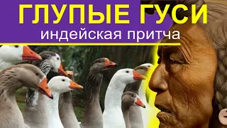 ГЛУПЫЕ ГУСИ__ПРИТЧА ИНДЕЙСКОГО ПЛЕМЕНИ ПИЕГАН (ЧЕРНОНОГИЕ)__индейская мудрость