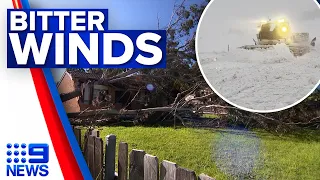 NSW braces for more wild weather after strong winds batter state | 9 News Australia