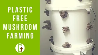 Plastic Free Mushroom Farming? | GroCycle