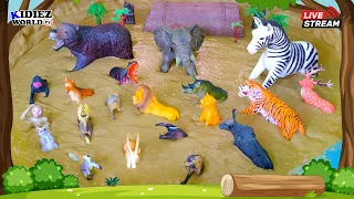 Learn Wild African Animals Names and Sounds | Playful Learning for Kids in Muddy Adventure