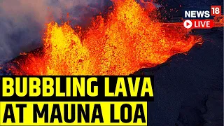 Hawaii's Mauna Loa Volcano Continues To Erupt Lava | Mauna Loa Volcano Live | English News Live