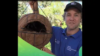 DIY possum drey in your backyard