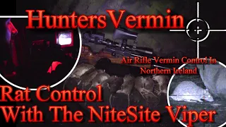 Air Rifle Hunting Rat Control With The NiteSite Viper