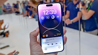 Dynamic Island В iPhone 14 Pro УКРАЛИ У HONOR